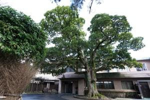 石本酒造 正面玄関
